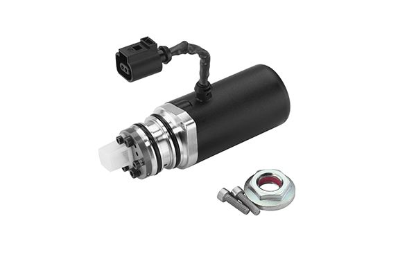 BorgWarner DS118589 Siurblys, visų ratų pavaros plokšt. formos sankaba