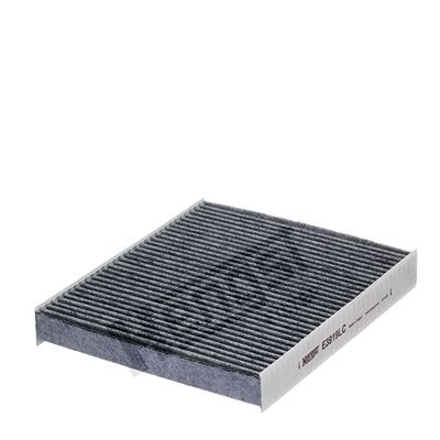 Filtras, salono oras HENGST FILTER E3919LC