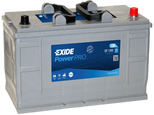 Starterio akumuliatorius EXIDE EF1202