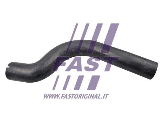 FAST FT61329 Radiatoriaus žarna