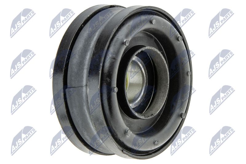 Guolis, kardaninio veleno centrinis guolis NTY NLW-NS-000