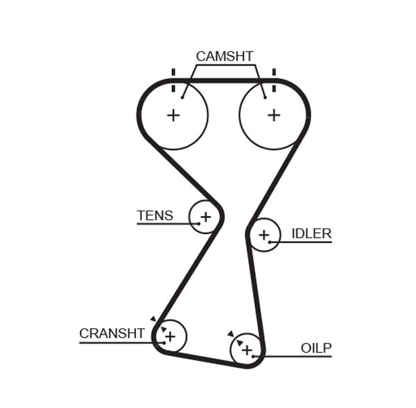 GATES T256RB Paskirstymo diržas