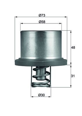 MAHLE THD 2 89 Termostatas, aušinimo skystis
