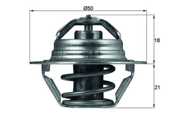 MAHLE TX 100 89 D Termostatas, aušinimo skystis