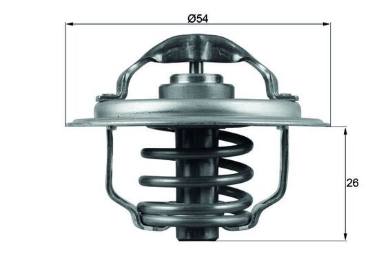 MAHLE TX 111 87 D Termostatas, aušinimo skystis