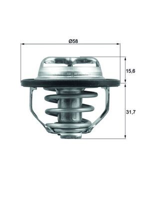 MAHLE TX 122 82 Termostatas, aušinimo skystis
