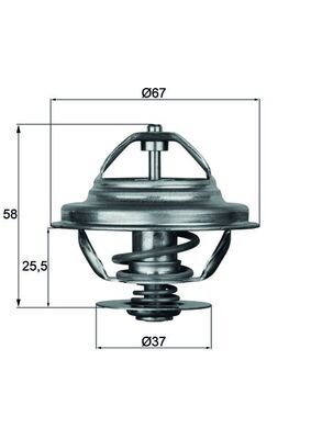 MAHLE TX 21 80D Termostatas, aušinimo skystis