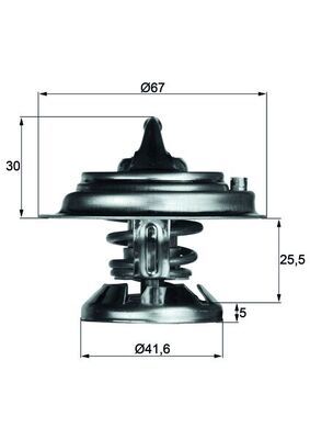 MAHLE TX 29 80D Termostatas, aušinimo skystis