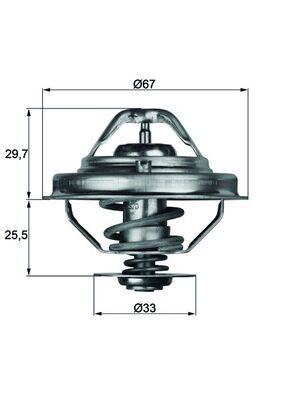 MAHLE TX 38 88 D Termostatas, aušinimo skystis