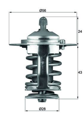 MAHLE TX 70 82 Termostatas, aušinimo skystis