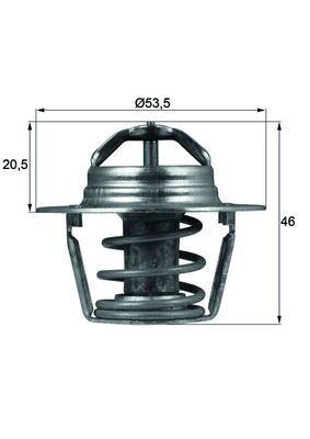 MAHLE TX 91 89 D Termostatas, aušinimo skystis